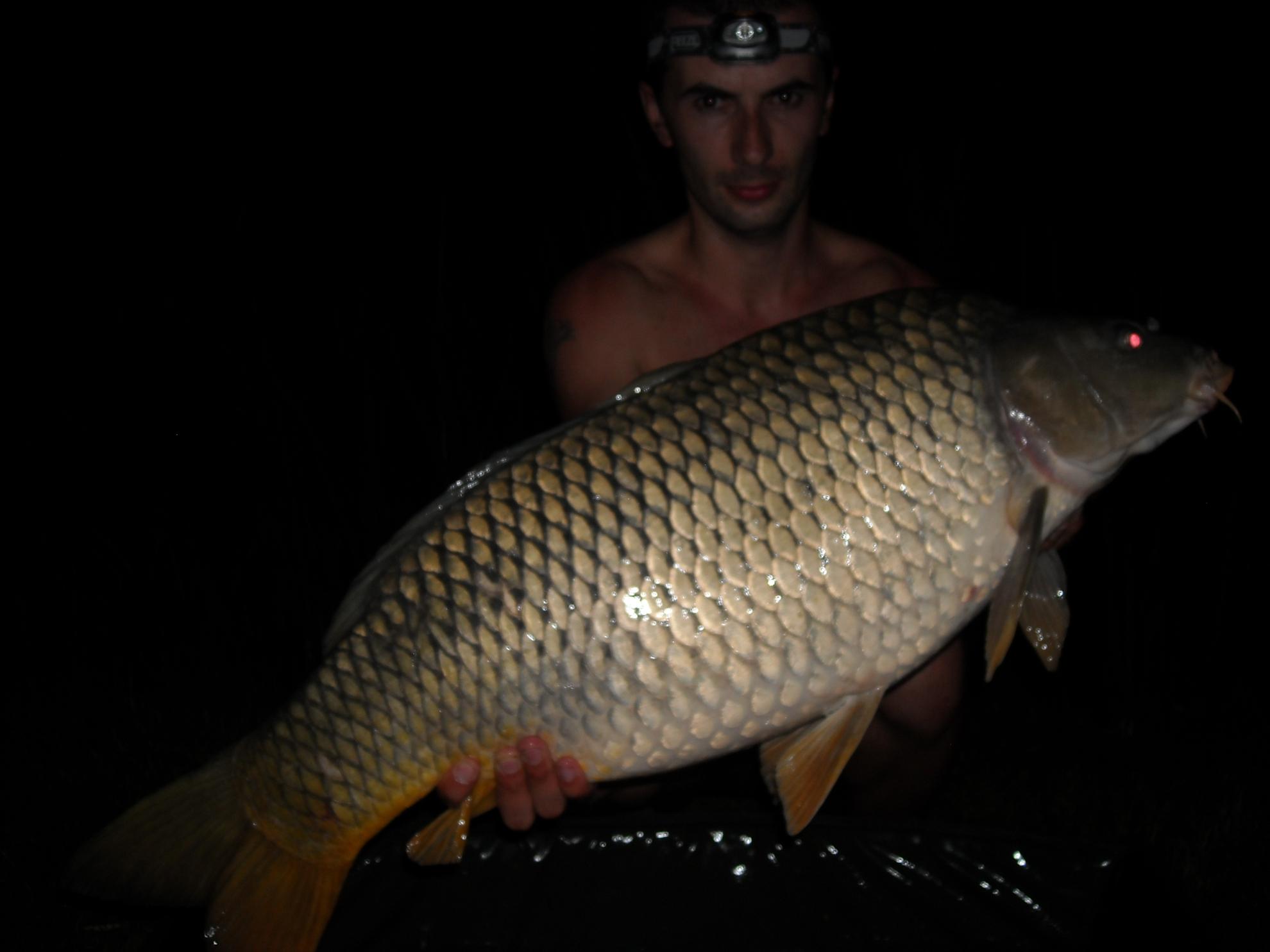 Nagykallo 2012 - dscn0105.JPG